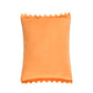 [AUTHENTIC POPMART ] Labubu The Monsters Wacky Mart Series Chips Pillow