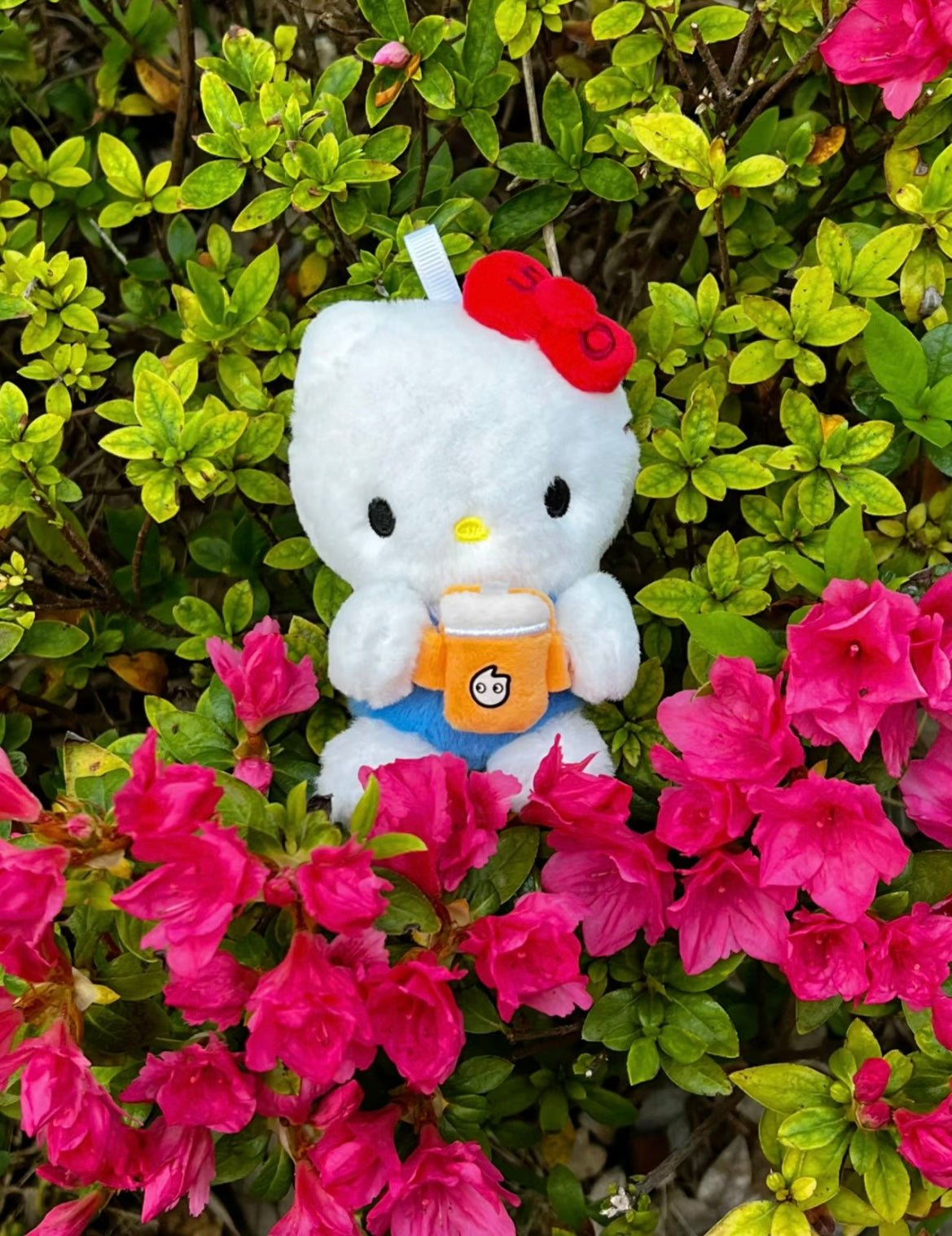 Sanrio X Coco Boba Milk Tea Mini Plushy