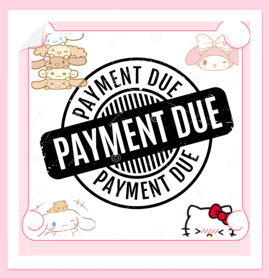 Payment Link TikTok order